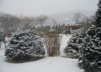 garden-winter-2011-17